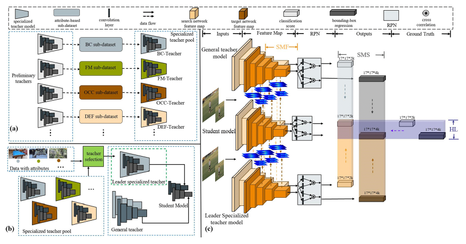 Efficient Object Tracking with Specialized Knowledge Distillation
